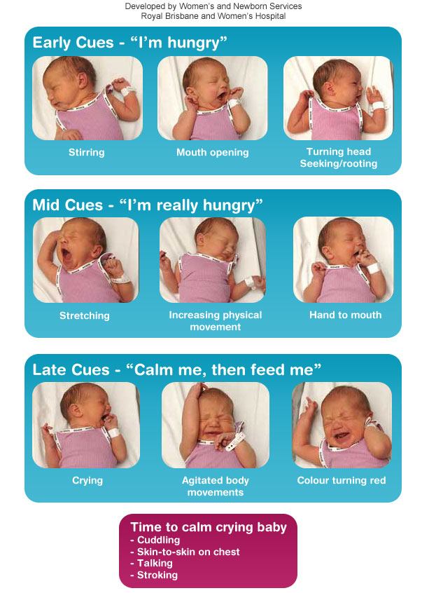 http://www.breastfeedinginsheffield.co.uk/wp-content/uploads/baby-feeding-cues.jpg